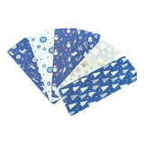 XmasBlue02