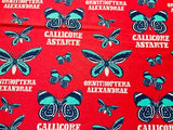 Animal Cotton Fabric – 100% Cotton Poplin, 44” Wide – Animal Nursery Themed Material for Sewing, Quilting, Crafts, Kids Nature Fabric Baby Nursery